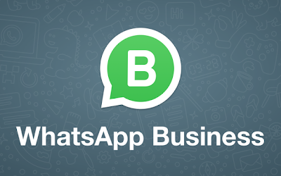 Curs online de Whatsapp Business